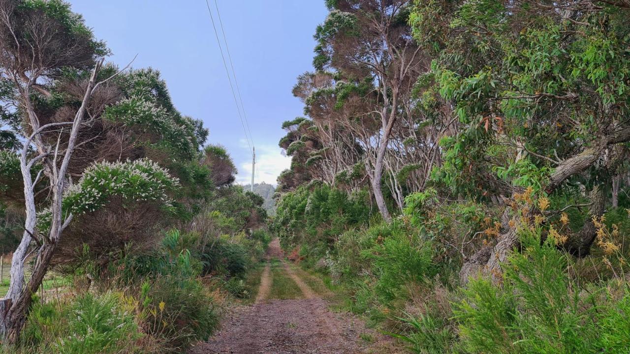 Lowlands Cape Howe Cottages מראה חיצוני תמונה